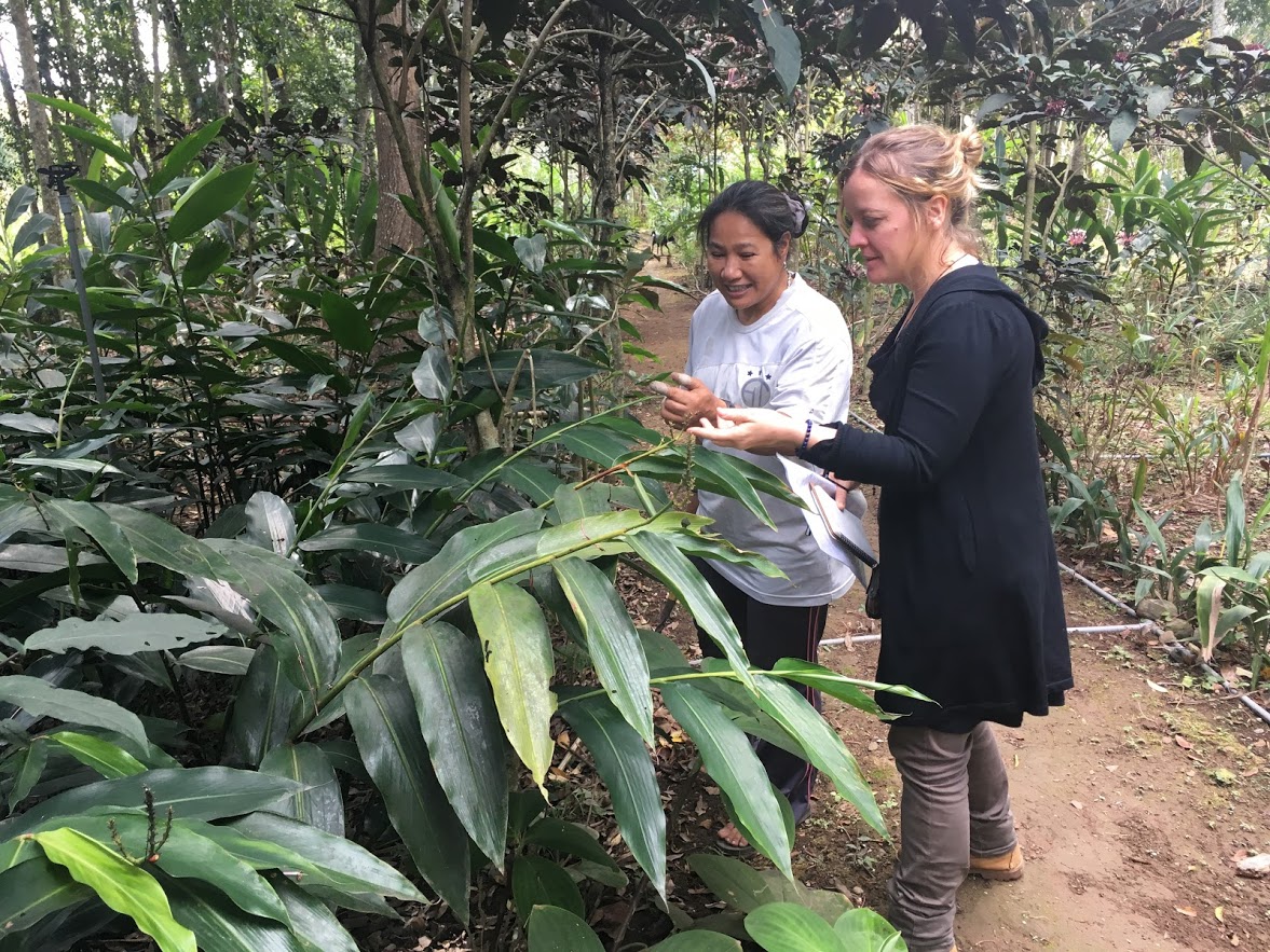 French scholar, Celine Kerfant conduct research on plants fabric in Taidong:picture1