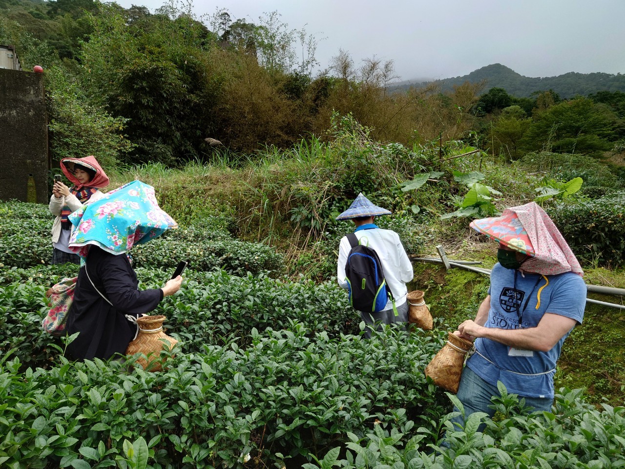 2021 外籍學人文化參訪 體驗臺灣坪林茶產業、生態、史觀及文物