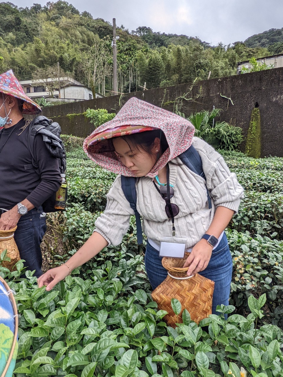 2021 Cultural Trip to New Taipei City Green Light Tea Farm & Pinglin Tea Museum:picture11