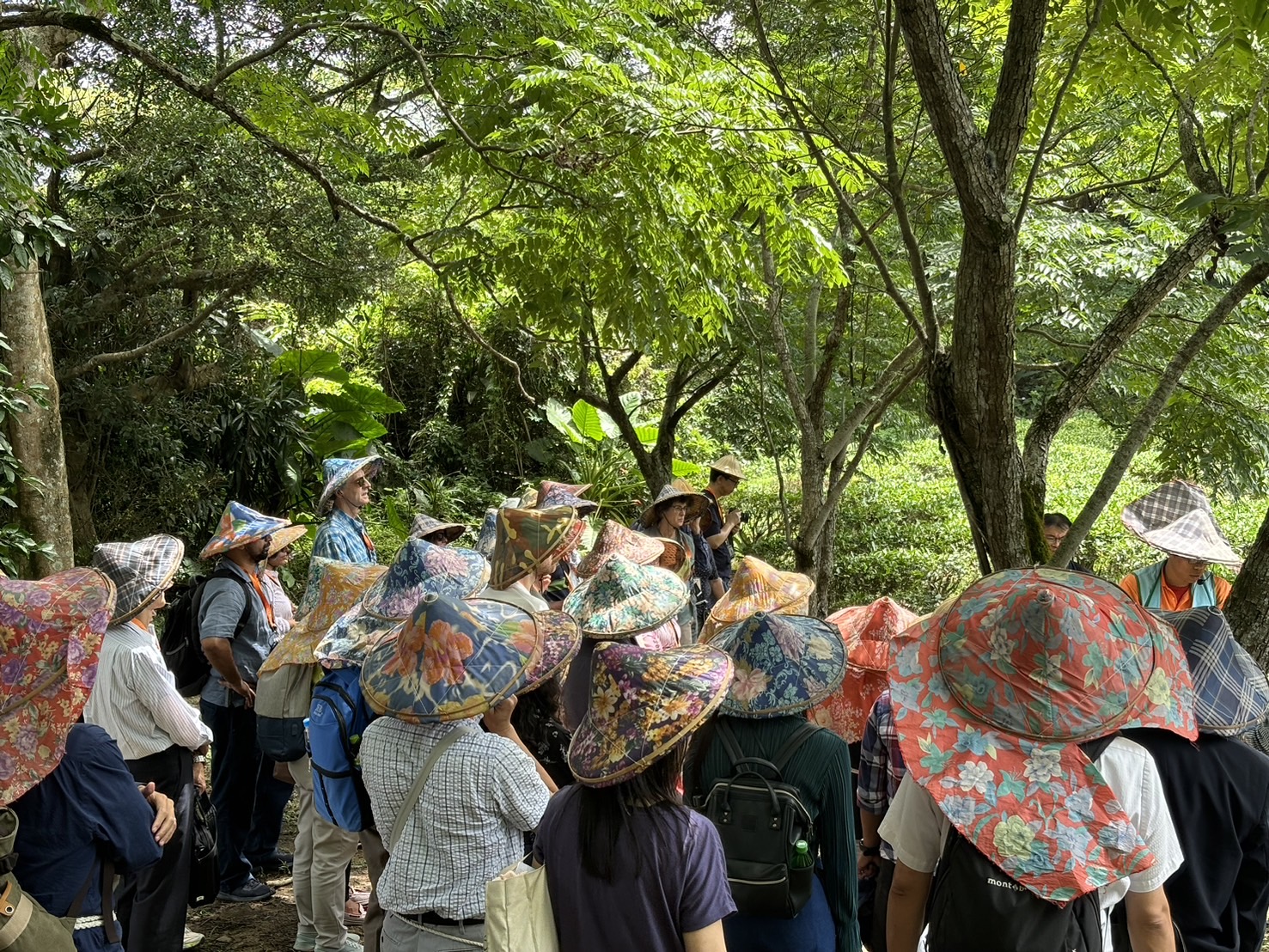 113年外交部「臺灣獎助金」學人文化參訪繫端午民俗節慶活動:相片 4